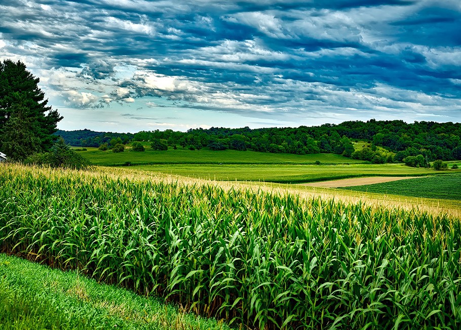 Coastals-agriculture-kzn-slide8